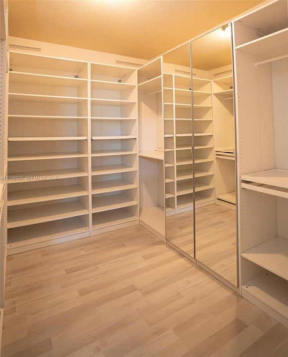 Walk-in closet featuring extensive built-in shelving, full-length mirrored door panels, wood-finish flooring, and integrated garment rods