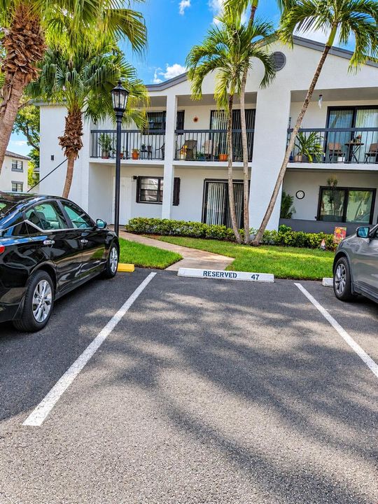 Sunlit Condo Parking Area with Palm Land