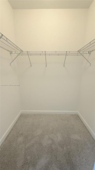 Walk-in closet featuring wall-to-wall carpeting and upper wire shelving