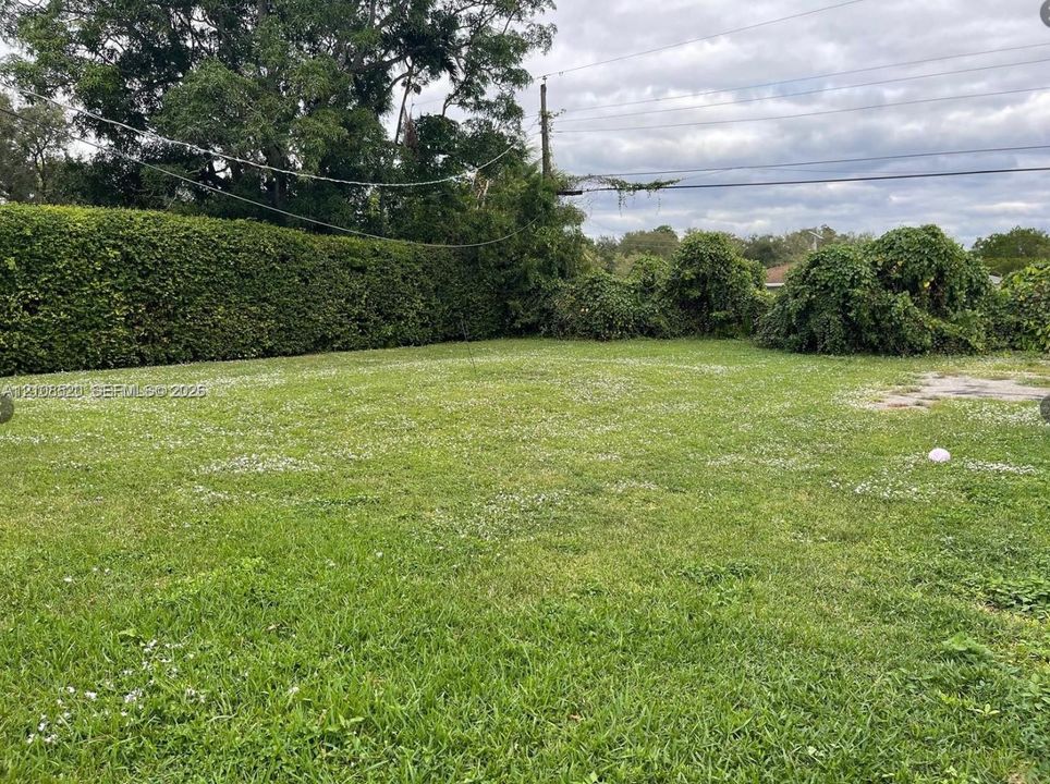 Expansive backyard featuring an open lawn and mature perimeter hedging