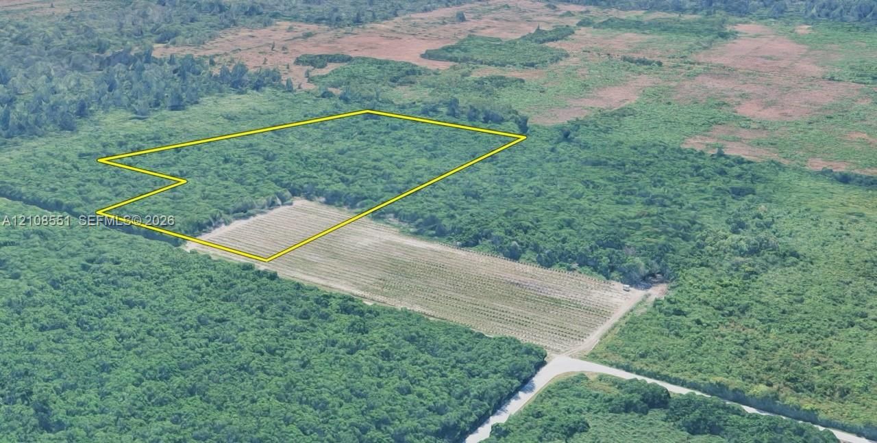 Aerial view of expansive acreage featuring cleared land, dense mature tree coverage, and direct road access