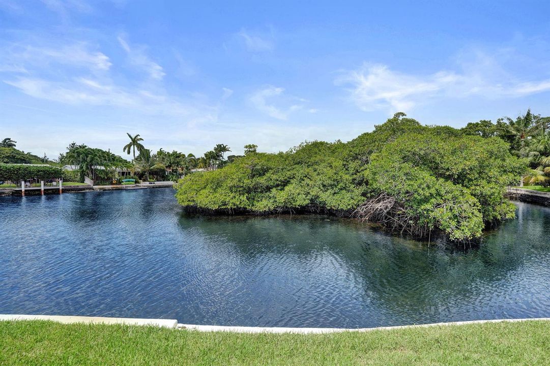 46-web-or-mls-DSC02374
