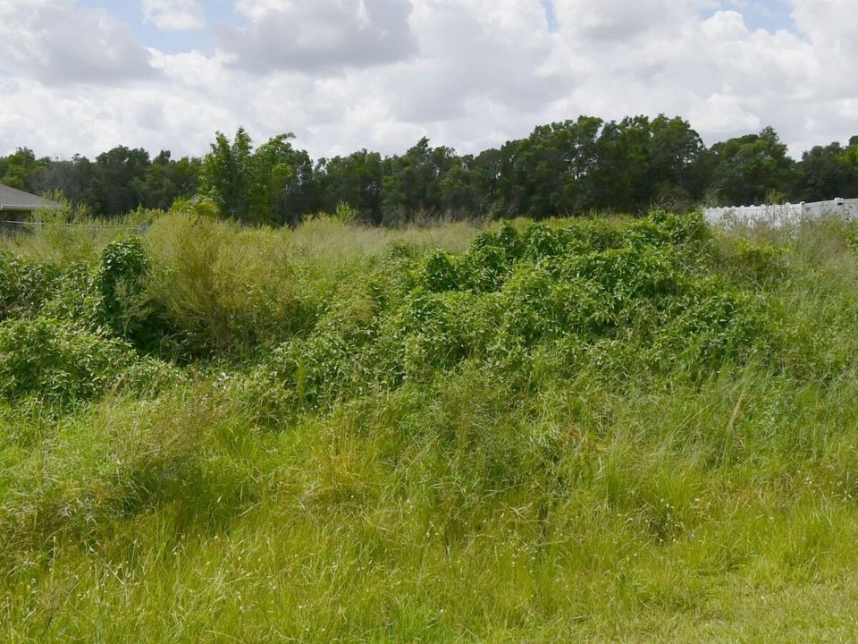 Residential Lot