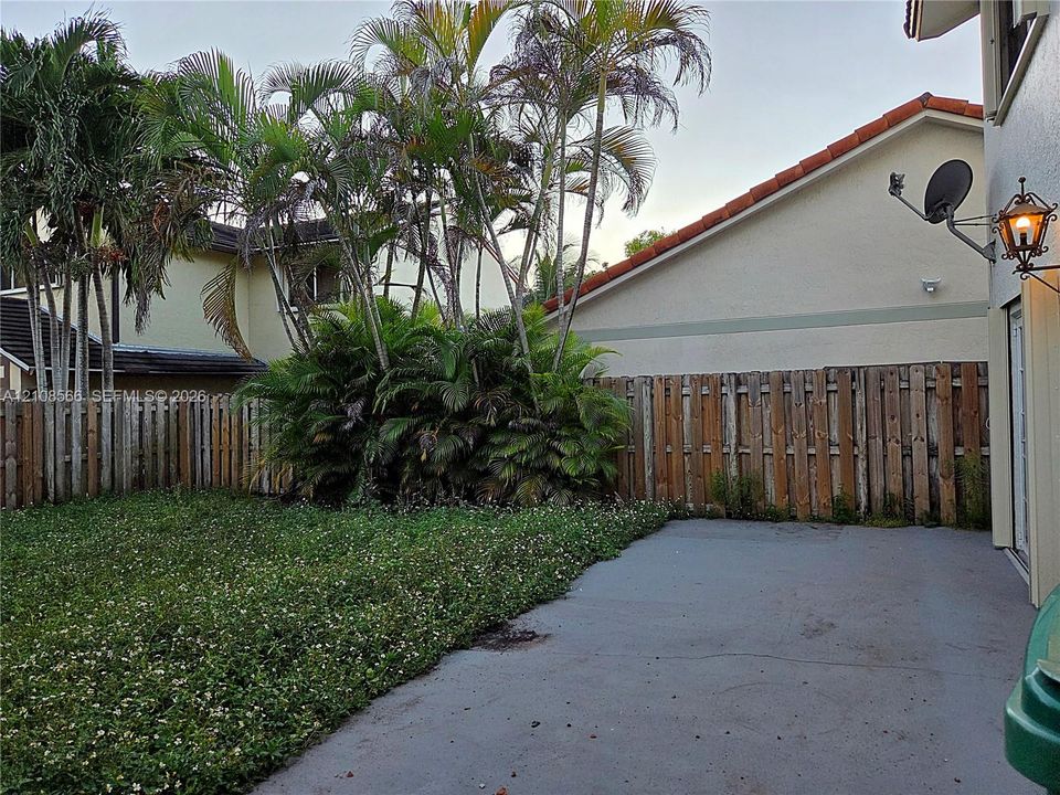 Backyard space featuring a concrete patio, wood privacy fencing, mature palm trees, and ground-level landscaping