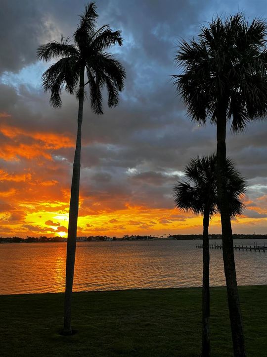 sunrisefrompatio3