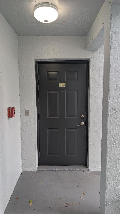 Front door Unit 9-101