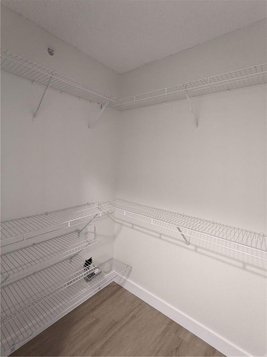Walk in closet at Master