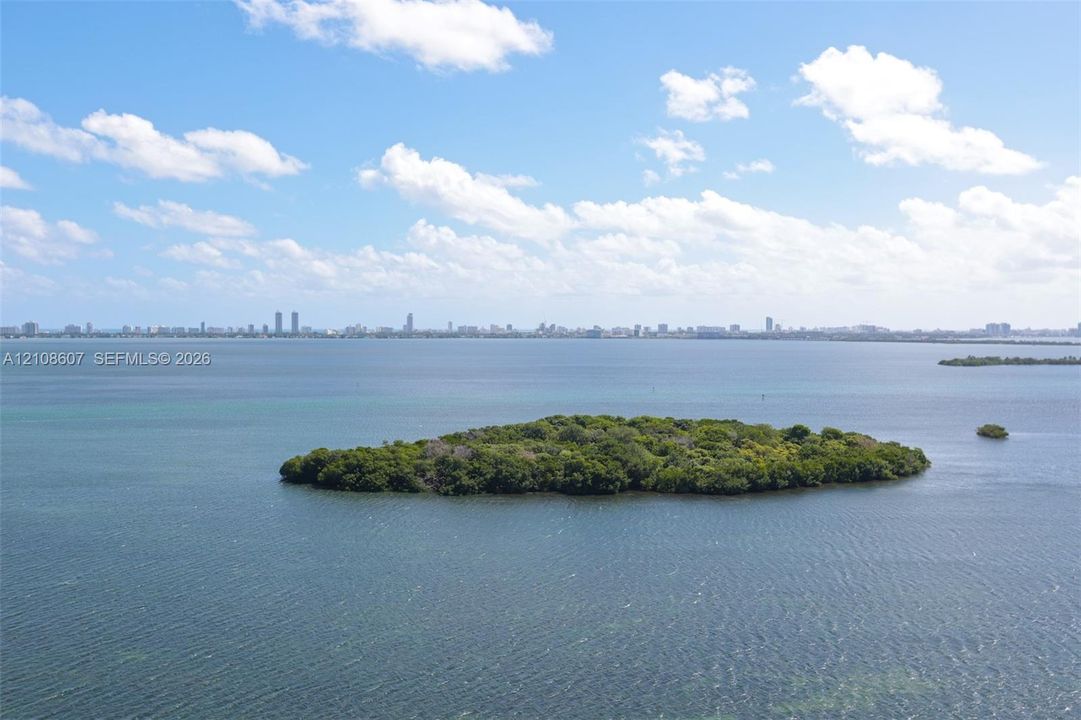 Private island featuring dense native vegetation and direct water frontage
