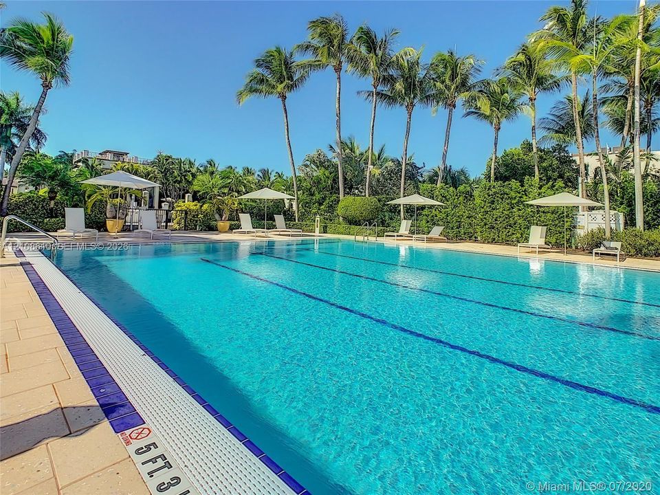 Rectangular swimming pool featuring a tile border, stone-paver decking, and mature palm tree landscaping