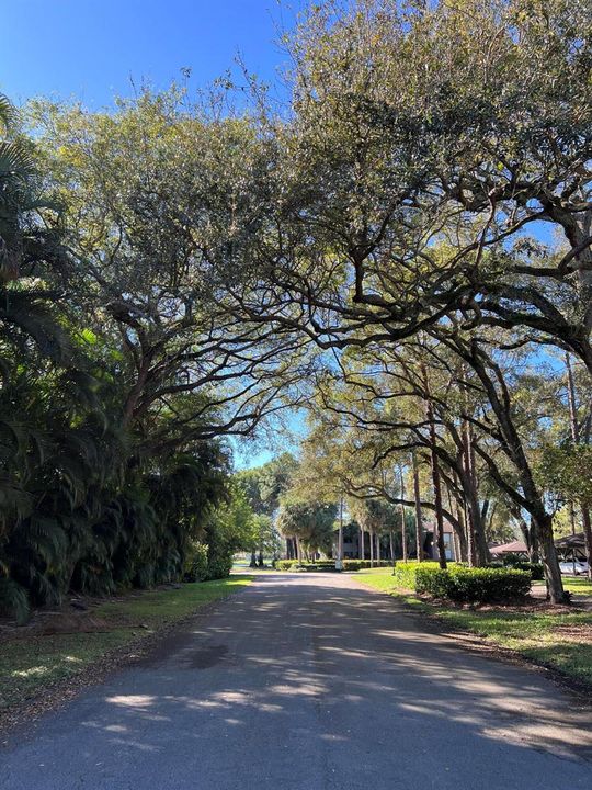 13E005A0-FC30-43F0-8C87-254D3D2AA20A