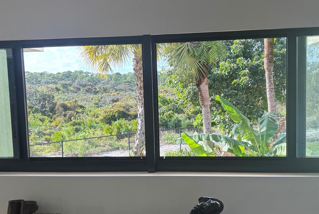 living room view