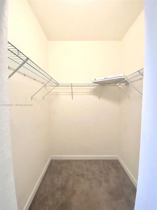 Walk-in storage space featuring neutral carpeting and wrap-around wire shelving