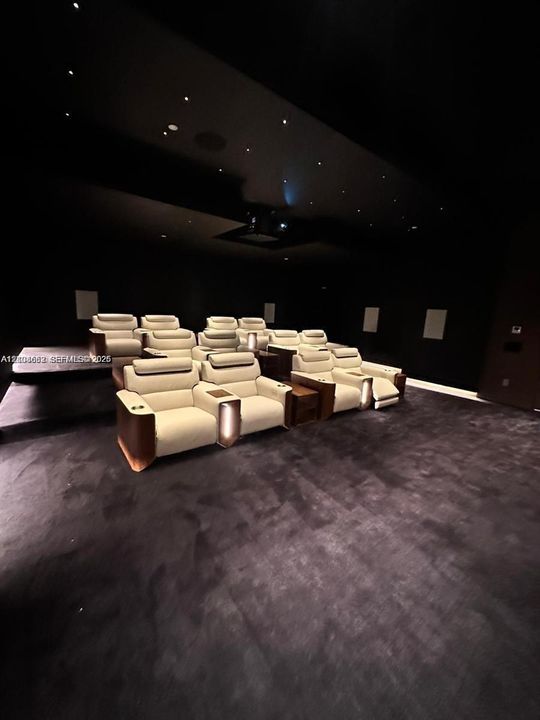 Dedicated media room featuring tiered flooring, dark wall treatments, ceiling-mounted projection equipment, and recessed fiber-optic star lighting