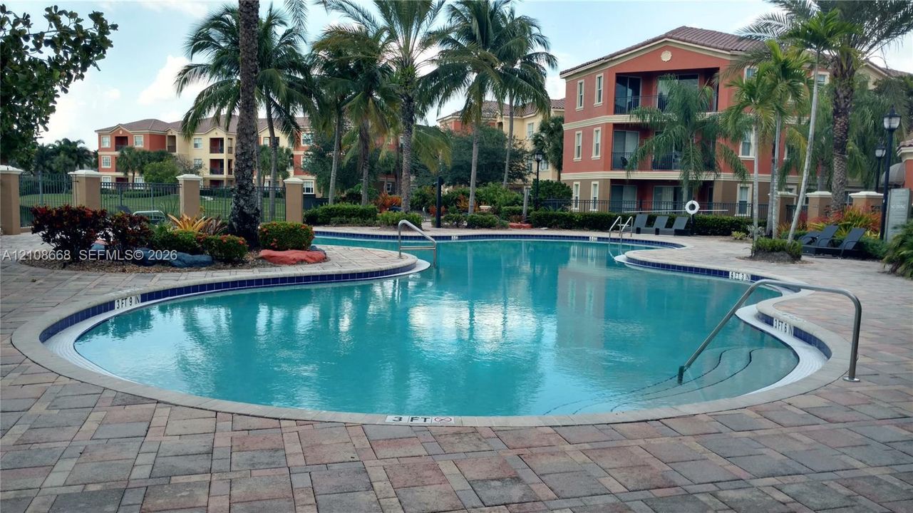 Curved swimming pool featuring paved decking, metal handrails, mature palm trees, and multi-story building structures