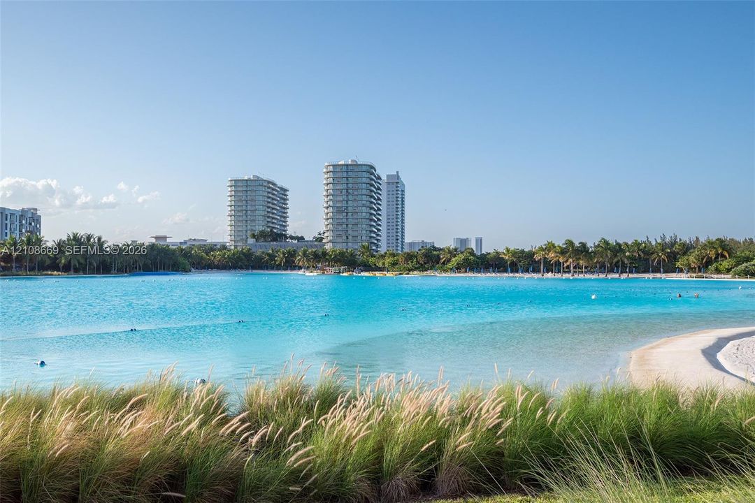 Large recreational lagoon featuring a white sand shoreline, established tropical palm trees, and native ornamental grasses
