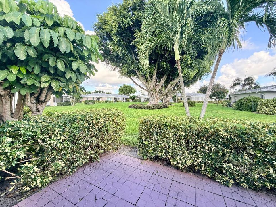 View into backyard