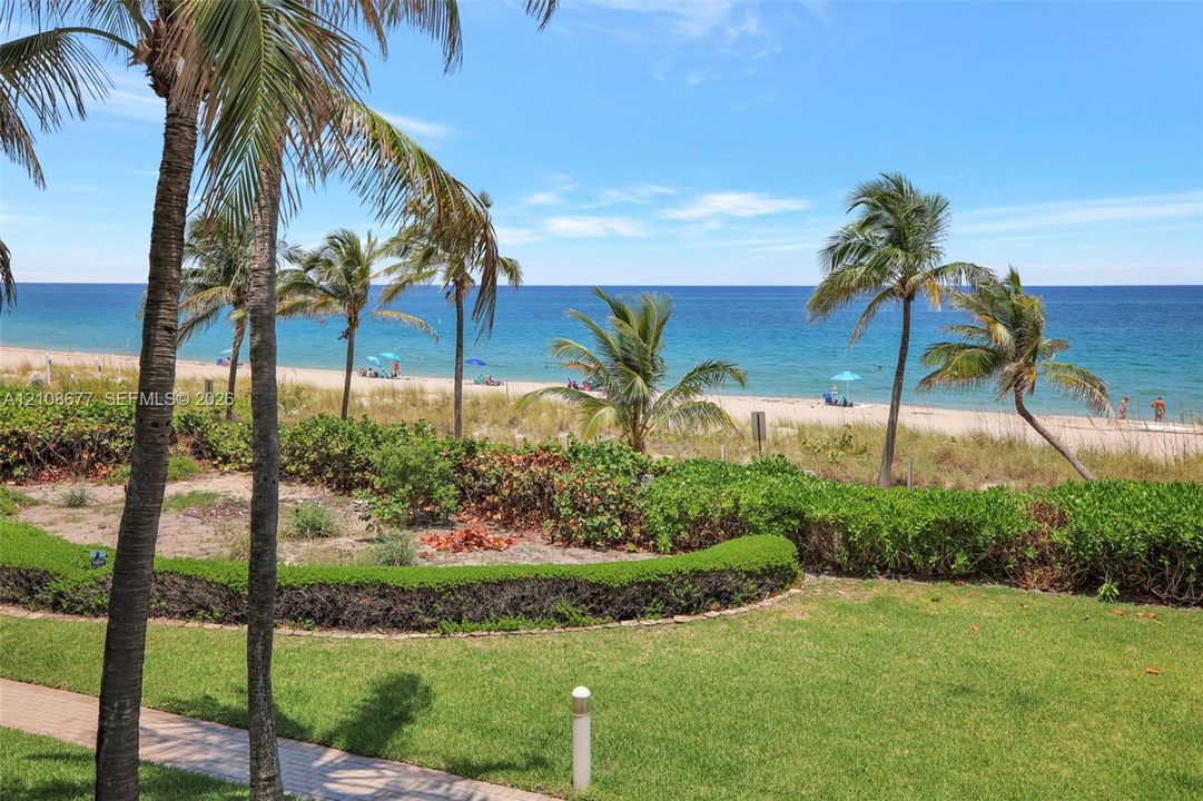 Oceanfront grounds featuring a landscaped lawn, groomed hedges, mature palm trees, and a stone-paver walkway