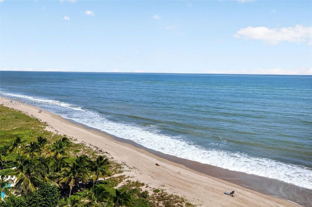 Direct oceanfront setting with sandy beach access, native coastal vegetation, and expansive horizon