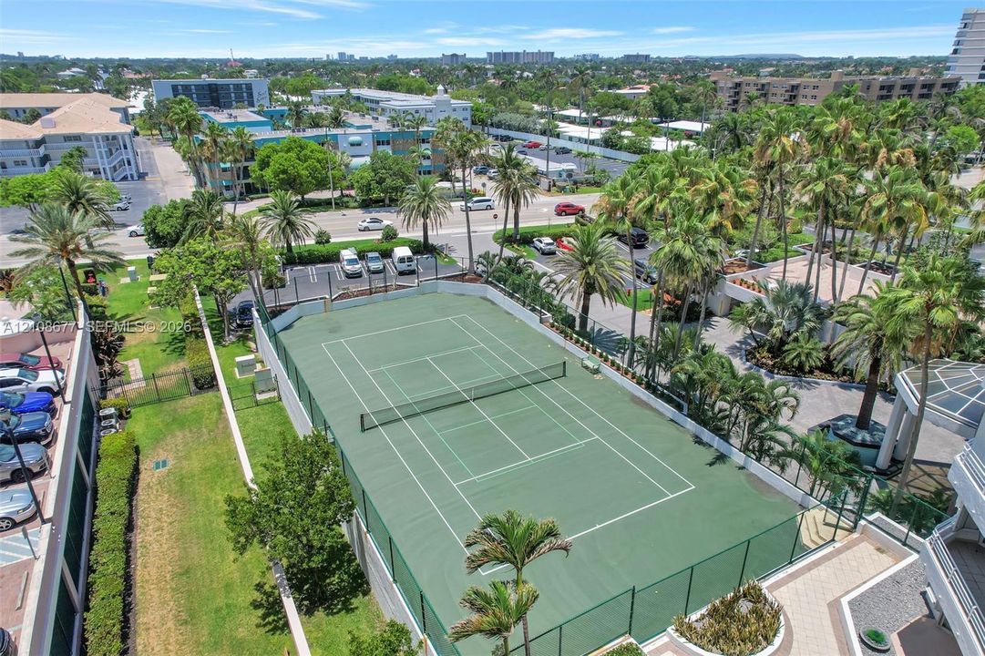 Fenced tennis court with a hard-surface finish, surrounded by mature palm trees and manicured landscaping