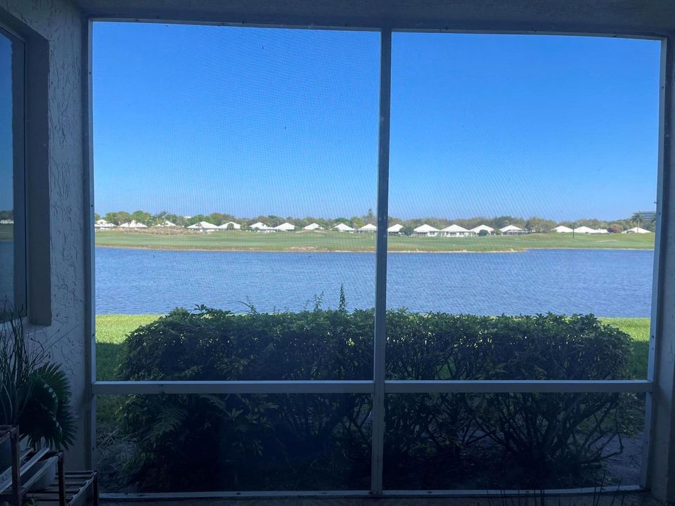 Patio/View