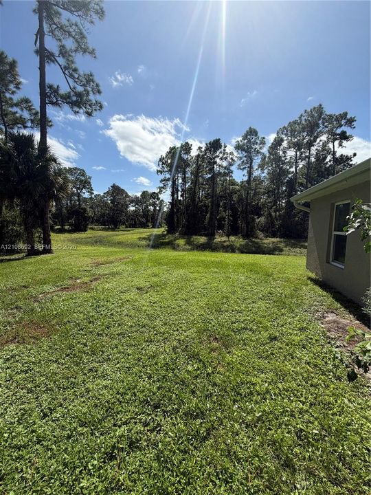 Expansive grassy lawn with mature trees and perimeter landscaping