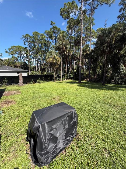 Expansive backyard featuring a manicured lawn, perimeter fencing, and mature trees