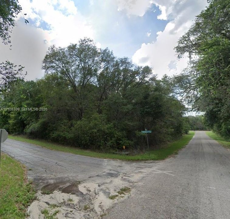 Corner lot featuring mature trees and established natural vegetation