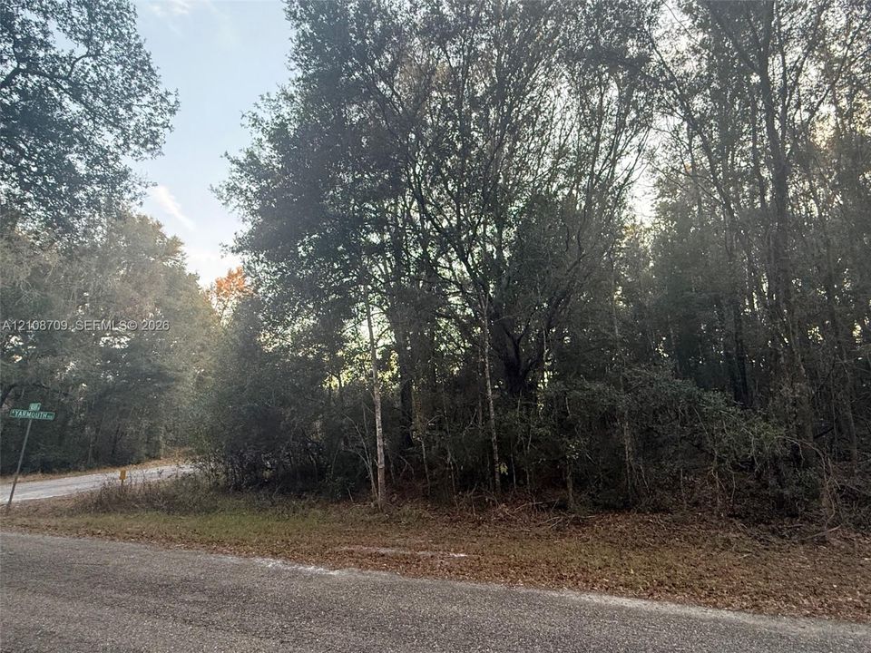 Vacant land parcel featuring mature hardwood trees and paved road frontage