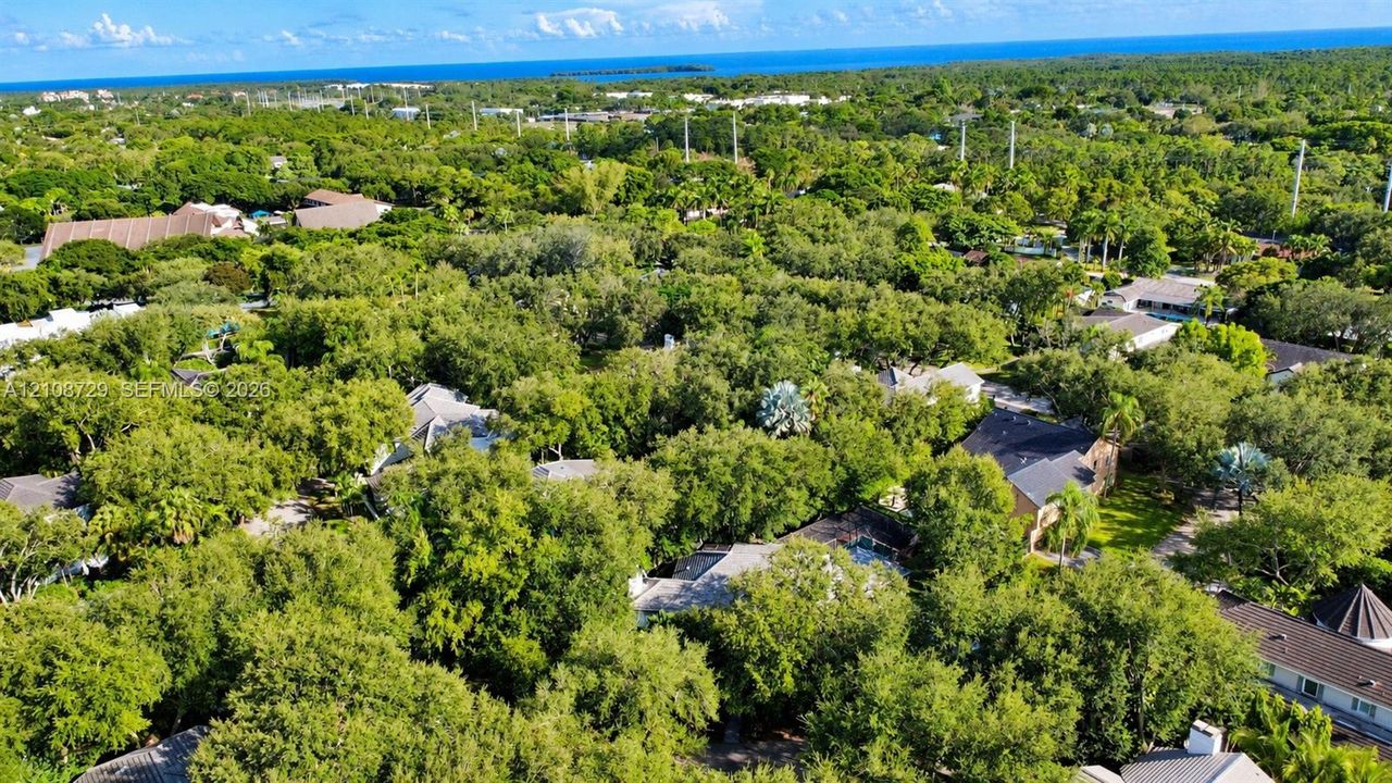 Aerial perspective featuring extensive tree canopy, established vegetation, and coastal horizon