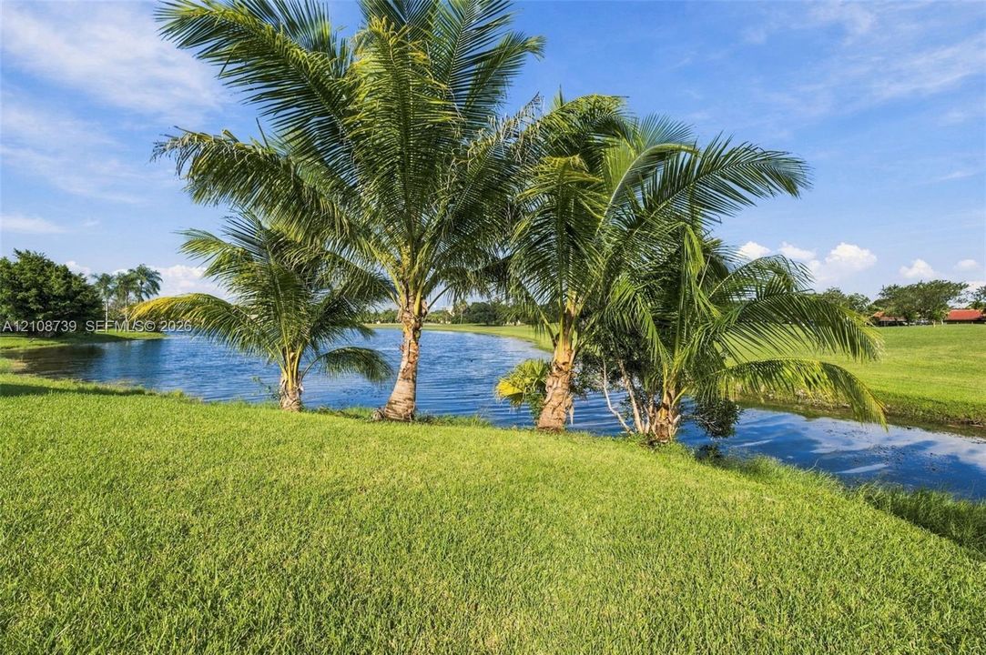 Waterfront property featuring a manicured lawn, palm trees, and a pond