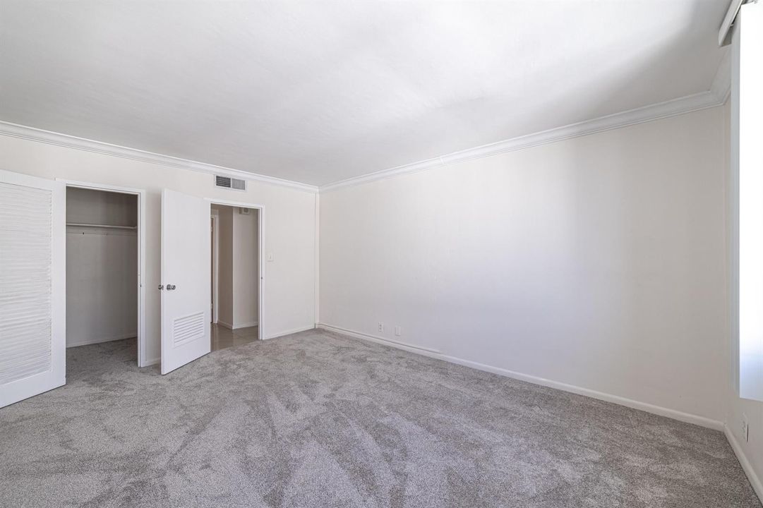 New carpet 2025