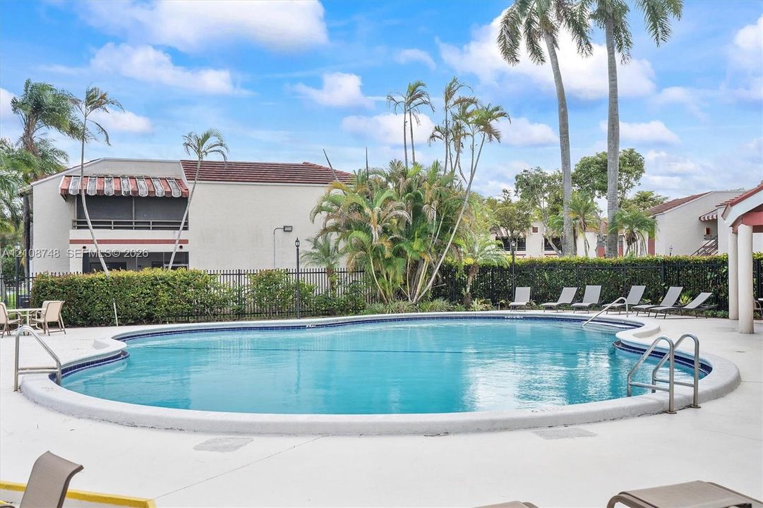 Swimming pool featuring a concrete deck, metal pool ladders, and surrounding privacy hedging