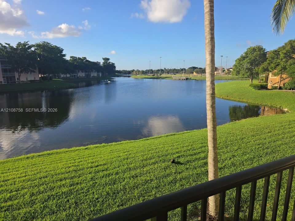 Waterfront grounds featuring a manicured lawn, palm trees, and dark metal railing