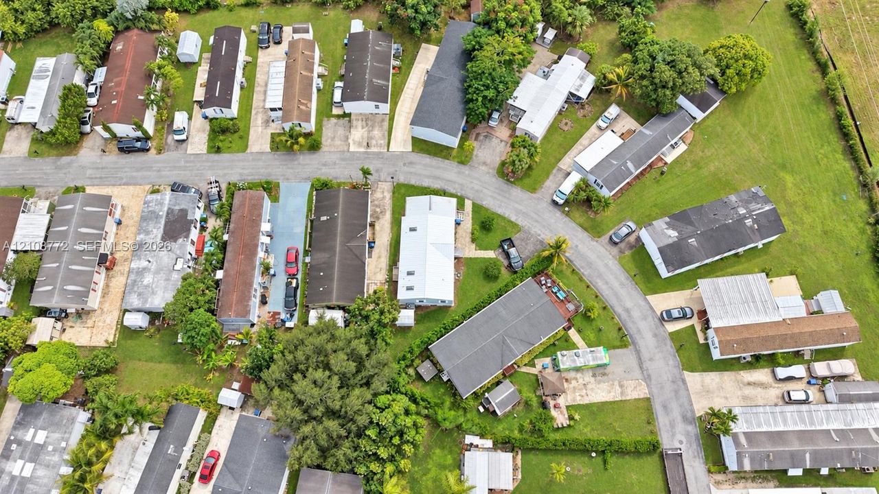 Aerial perspective of a residential street featuring paved roadways, individual driveways, mature canopy trees, and grass-covered lawns