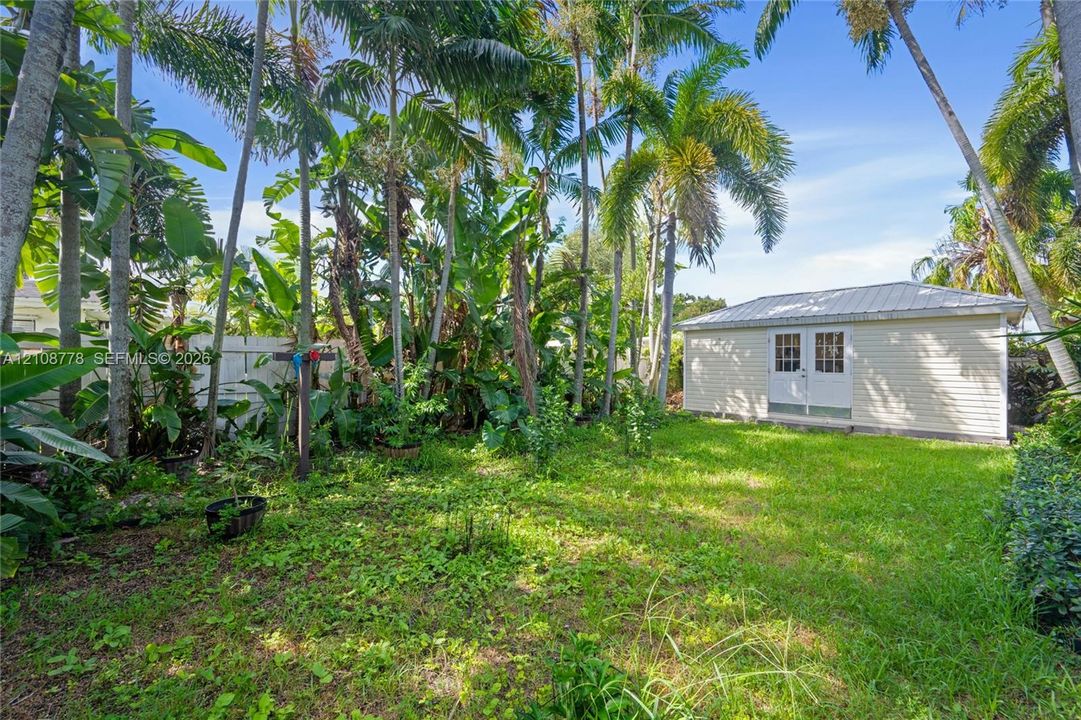 Backyard featuring mature palm trees, a detached structure with a metal roof, and white vinyl perimeter fencing