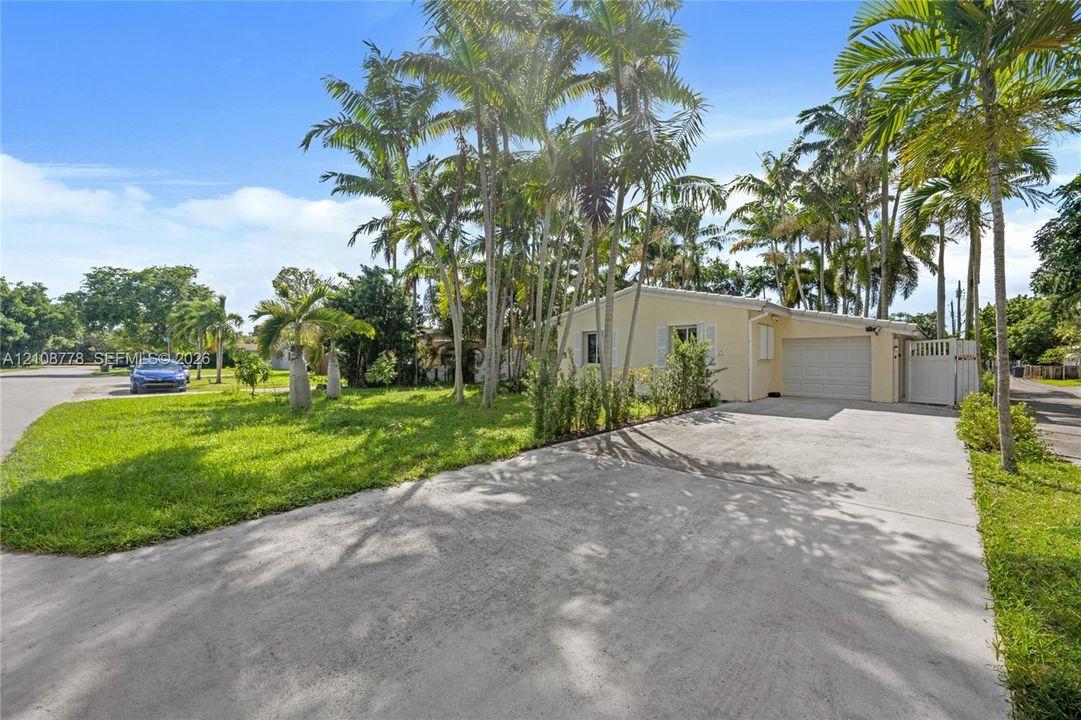 Exterior view featuring a single-story residence with an attached garage, concrete driveway, and mature palm trees