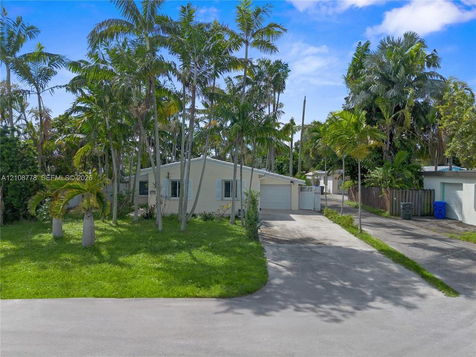 Exterior facade featuring a concrete driveway, an attached garage, mature palm trees, and established landscaping