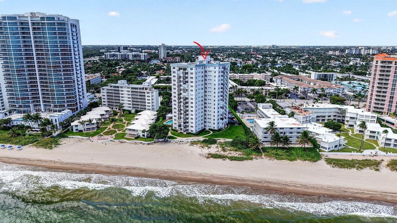 81-web-or-mls-113_DJI_20261014134729_044
