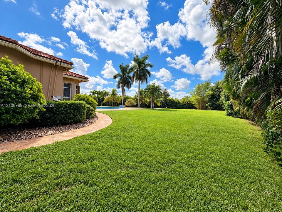 Expansive backyard featuring a manicured lawn, stone-paver walkway, swimming pool, and mature palm landscaping