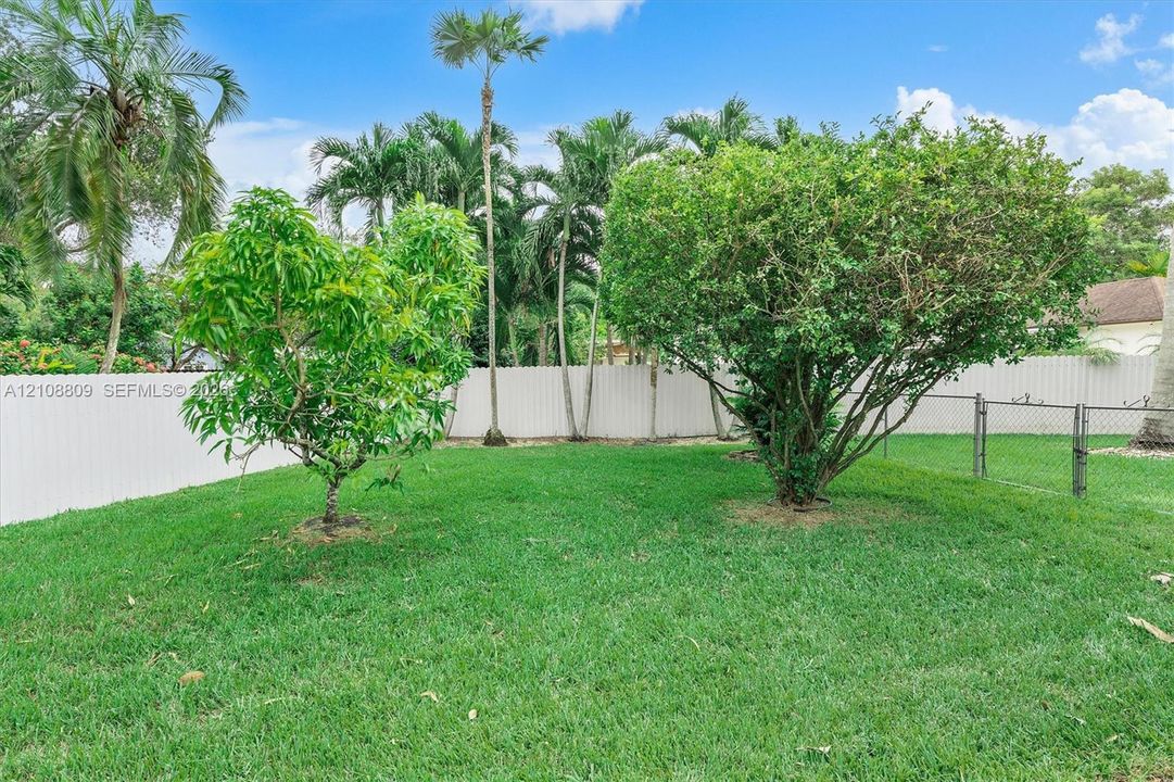 Backyard featuring a freeform in-ground swimming pool, integrated spa, concrete deck, and detached storage shed