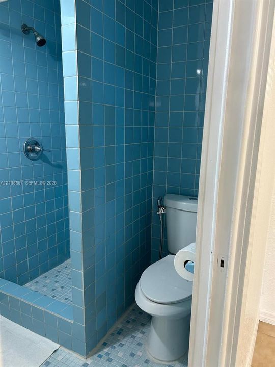 Bathroom featuring a walk-in shower with blue wall tiling and a multi-toned mosaic tile floor, paired with a floor-mounted toilet and a wall-mounted shower fixture