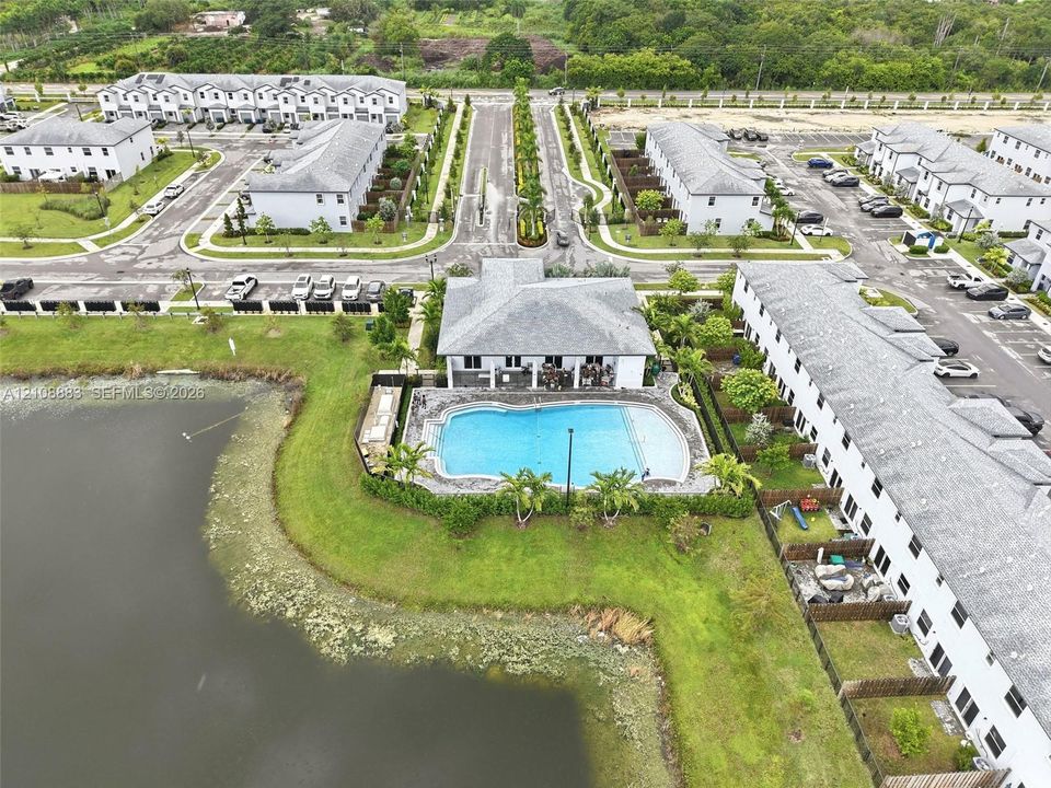 Community recreational area featuring an outdoor swimming pool, paved patio, palm landscaping, and water frontage
