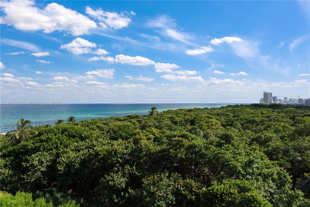 Expansive ocean horizon, dense coastal tree canopy, and distant urban skyline