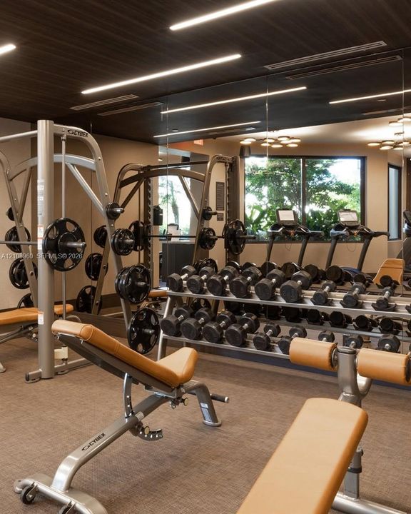 Fitness facility featuring recessed linear lighting, dark wood-finish ceiling paneling, full-wall mirrors, and carpeted flooring