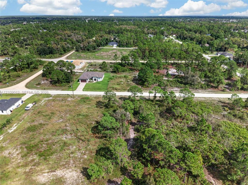 Aerial perspective of a vacant lot featuring natural vegetation, native pine trees, and paved road access