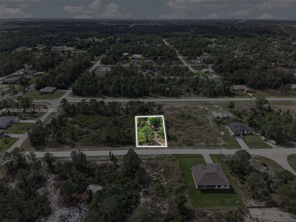 Vacant parcel of land featuring native vegetation and direct road access