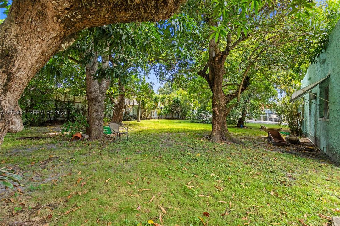 Spacious backyard featuring mature trees, a grass lawn, and a stucco exterior wall with an attached metal awning