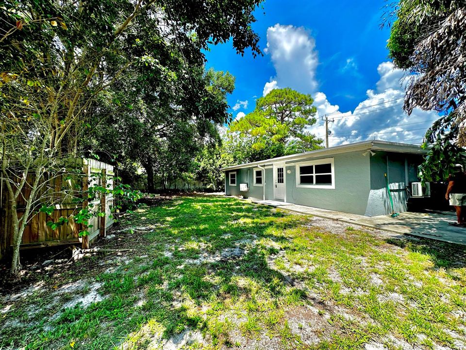 Back yard