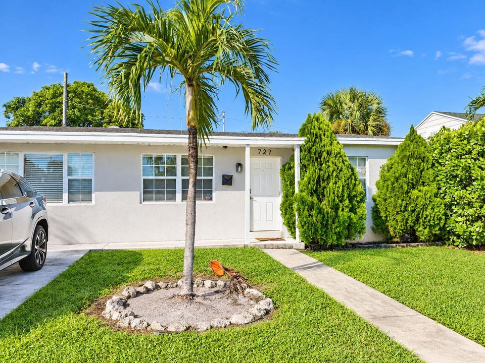 Sunlit Tropical Home with Palm Tree