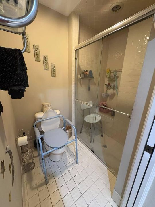 Primary Shower